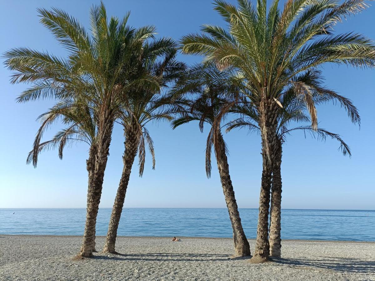 Apartamento Maravilla Tropical - La Herradura Almuñécar Exterior foto